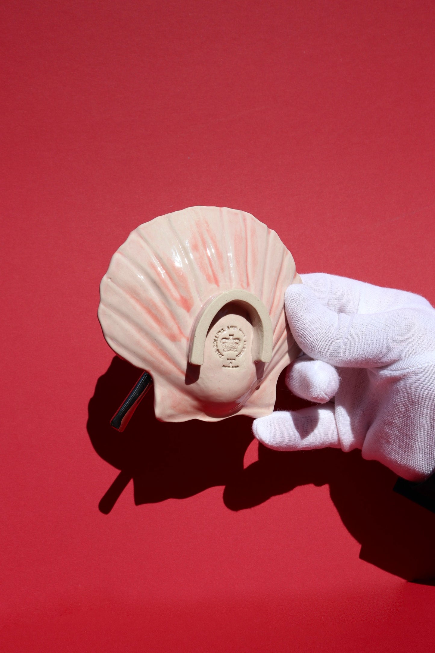 BOTTLE OPENER MEDIUM SHELL